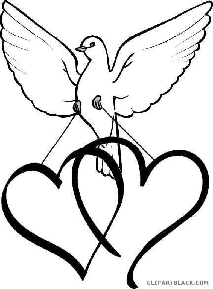 White Dove Animal Free Black White Clipart Images Clipartblack - Light Blue Love Heart (432x586)