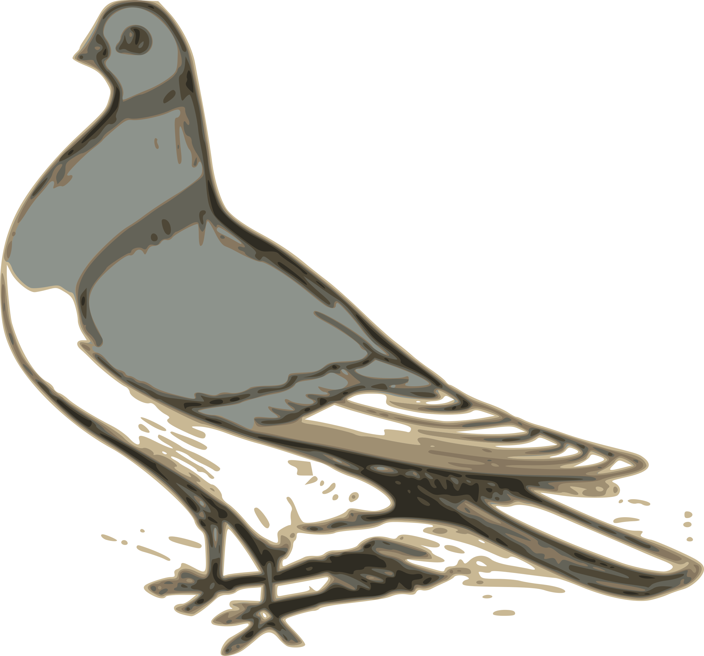 Big Image - Pigeon Illustration (2400x2235)