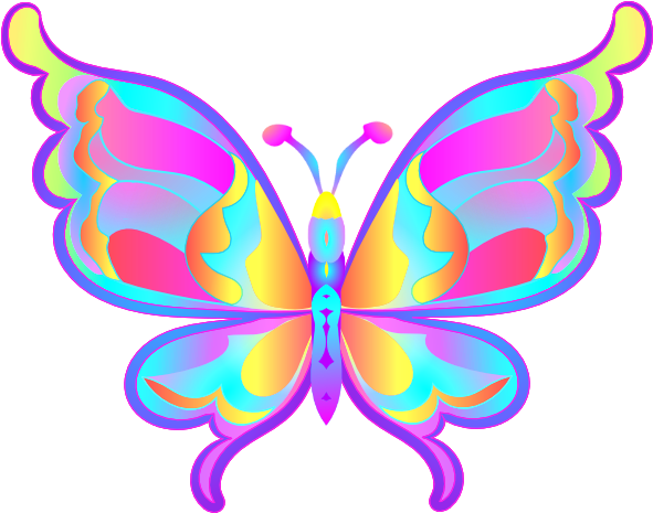 All Non - Animated Pictures Of Butterfly (605x486)
