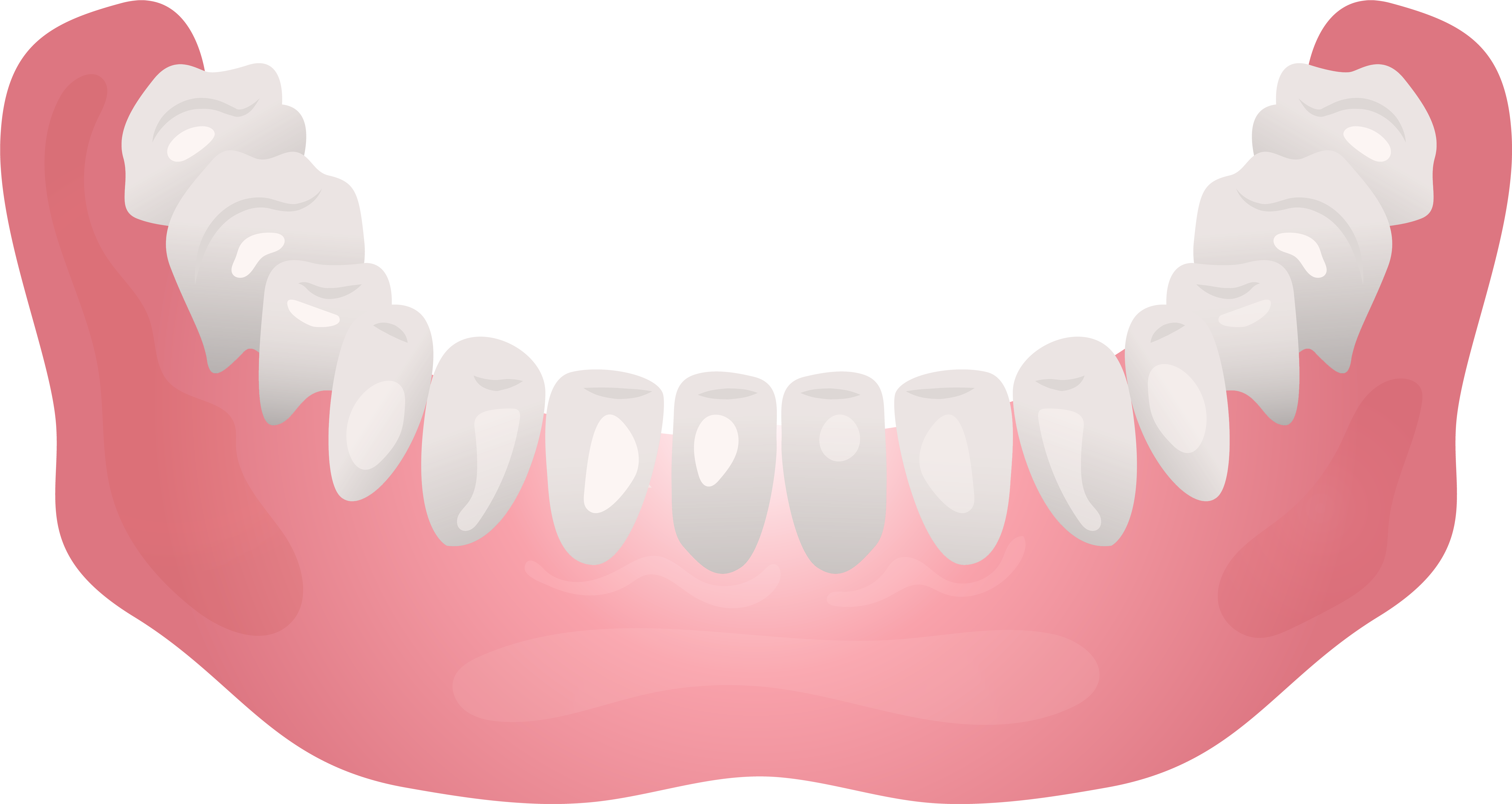 Bottom Human Jaw Clip Art - Clip Art (8000x4254)
