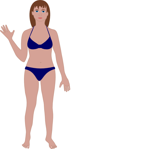 Human Body Cartoon Female (600x577)