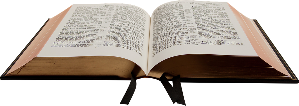 Bible Book Christian Holy Reading Knowledg - Bible Png Transparent (957x340)