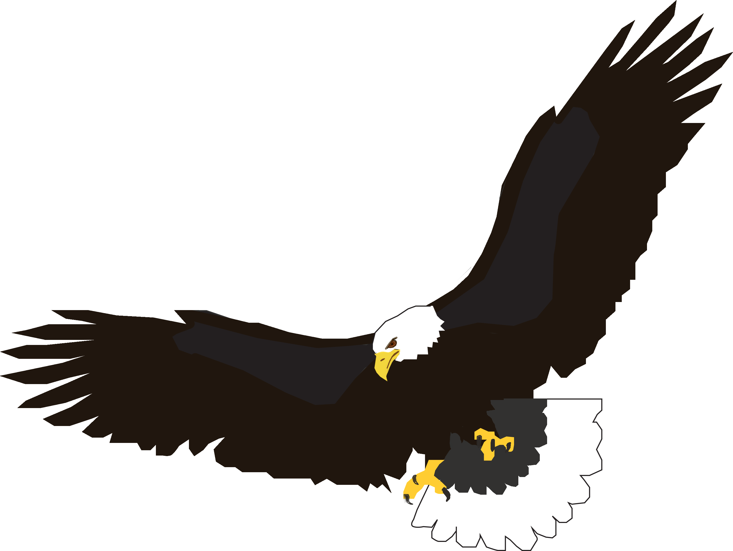 Eagle Birthday Cliparts - Flying Eagle Clip Art (2906x2182)