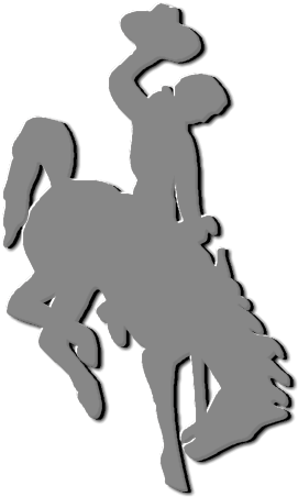 University Of Wyoming (287x463)