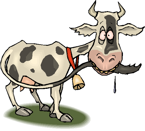 Ranch Rodeo Bible Series - Thin Cow Clipart (492x447)