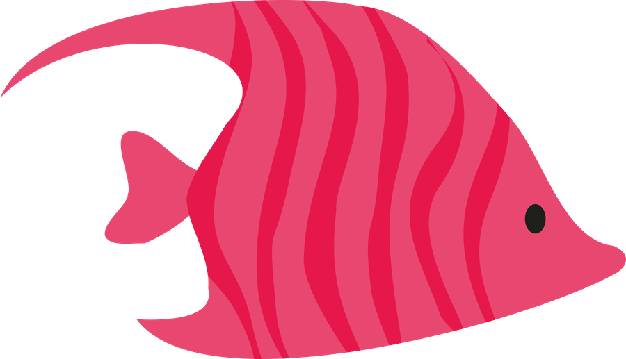 Ocean Creaturesbible Journalunder - Cricut (900x517)