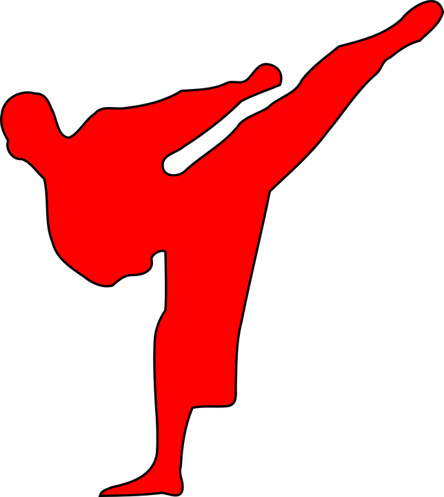Guinness World Records Classics - Karate Kick Silhouette Straight Up (644x720)
