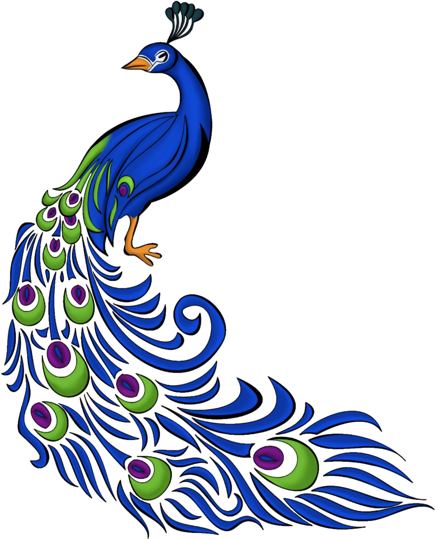 Image - Peacock Drawing With Colour.