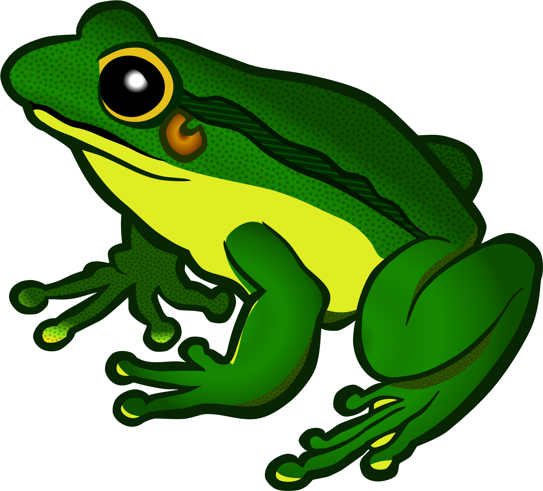 Frog Clipart Png - Frog Png Clipart (2400x2185)