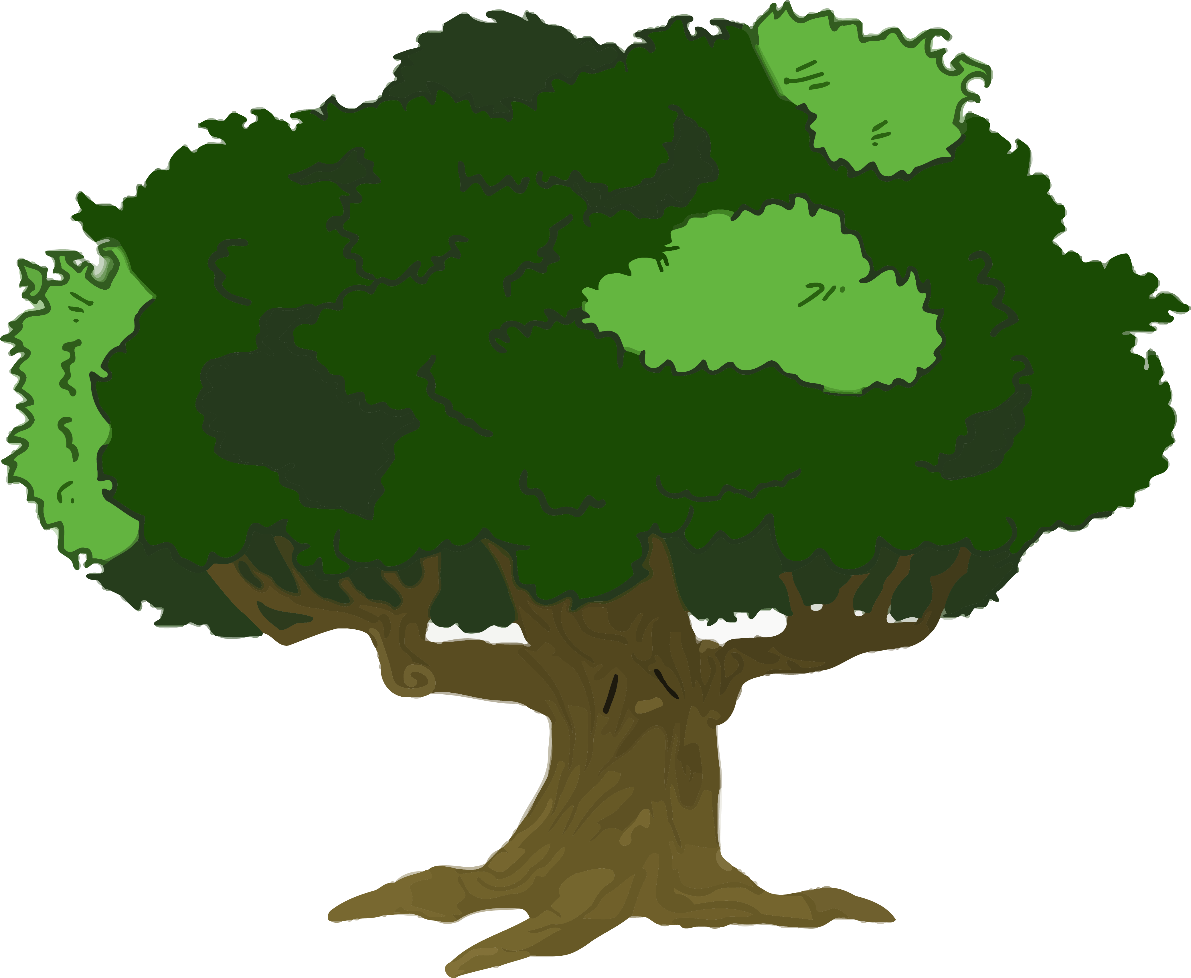 Tree Image Clip Art Online Royalty Free Clipart Png - Cartoon Tree With Branches (4161x3417)