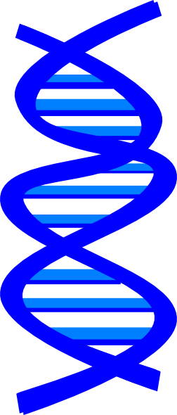 Dna Clip Art Dna Clip Art At Clker Vector Clip Art - Dna Clip Art (252x590)
