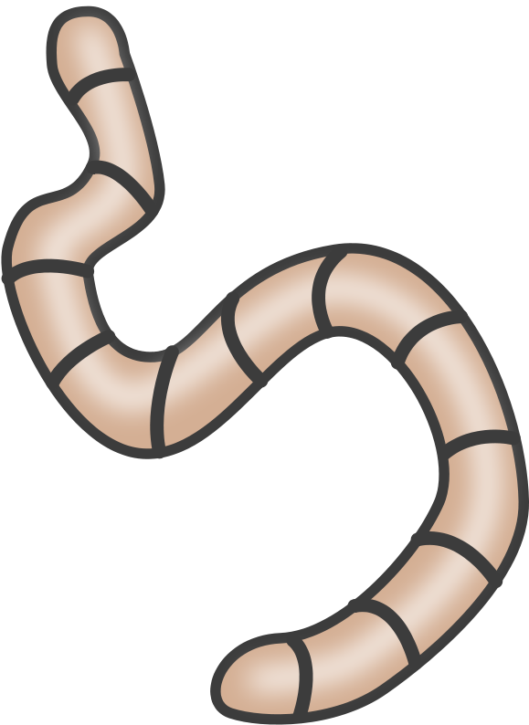 Earthworms - Decomposer Clipart - (582x800) Png Clipart Download
