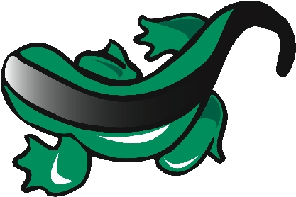 Slm Data Llc - Love Lizards Pillow Case (420x315)