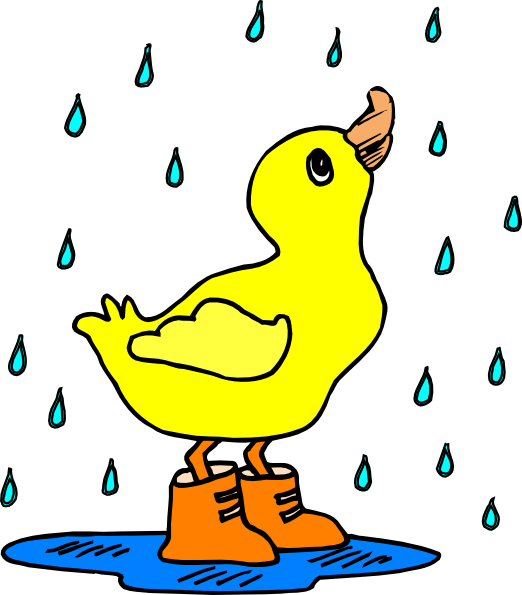 Duck In Rain Boots (522x595)