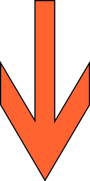 Down Arrow Orange (300x598)