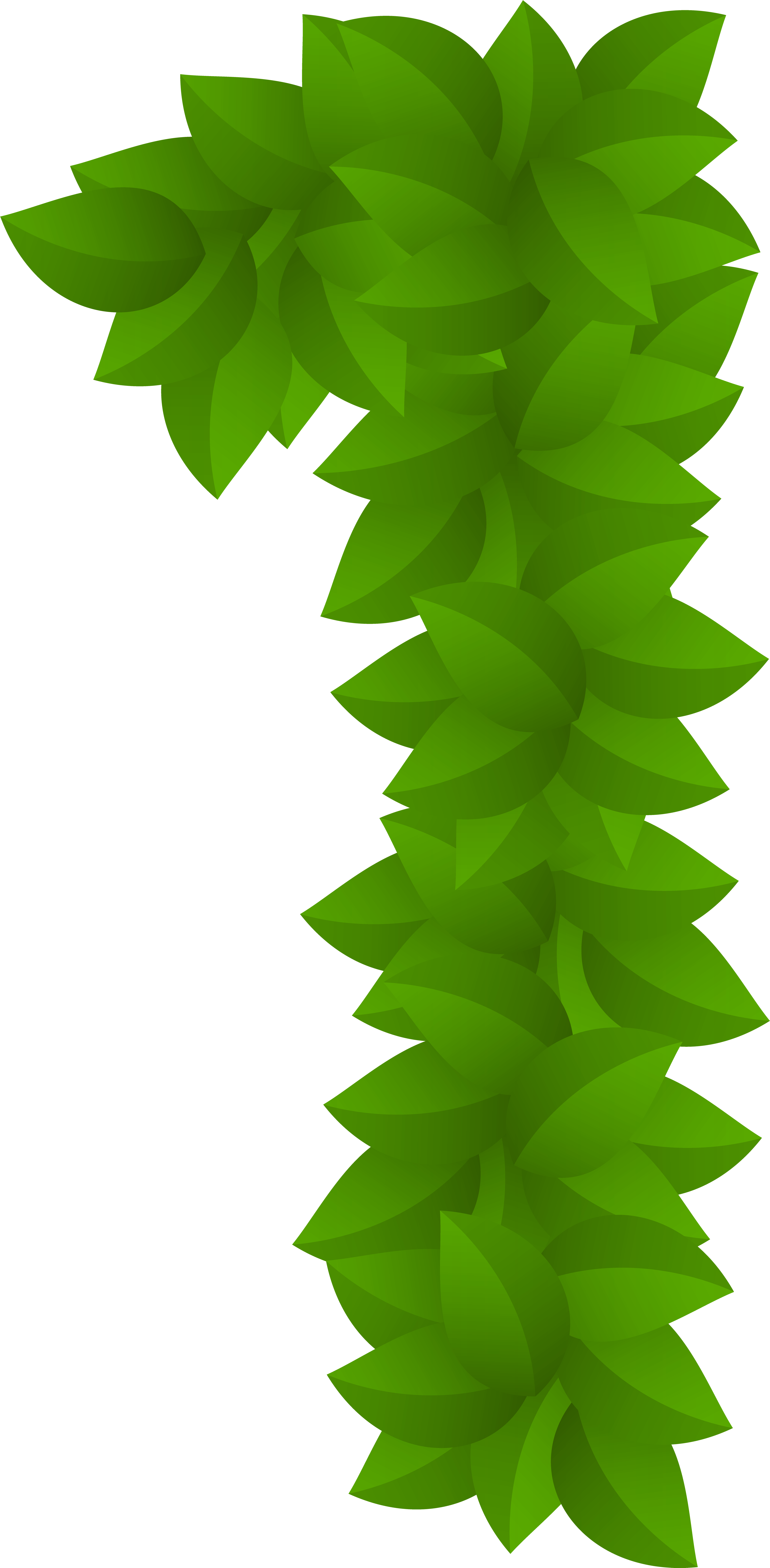 Leaf Number One Green Png Clip Art Image - Clip Art (3929x8000)