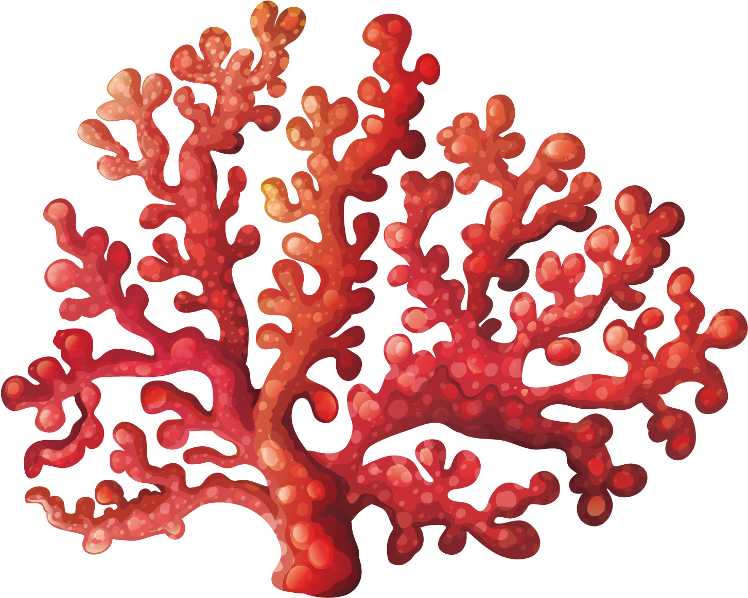Coral Reef Royalty-free Clip Art - Coral Reef Clipart (1500x1500)