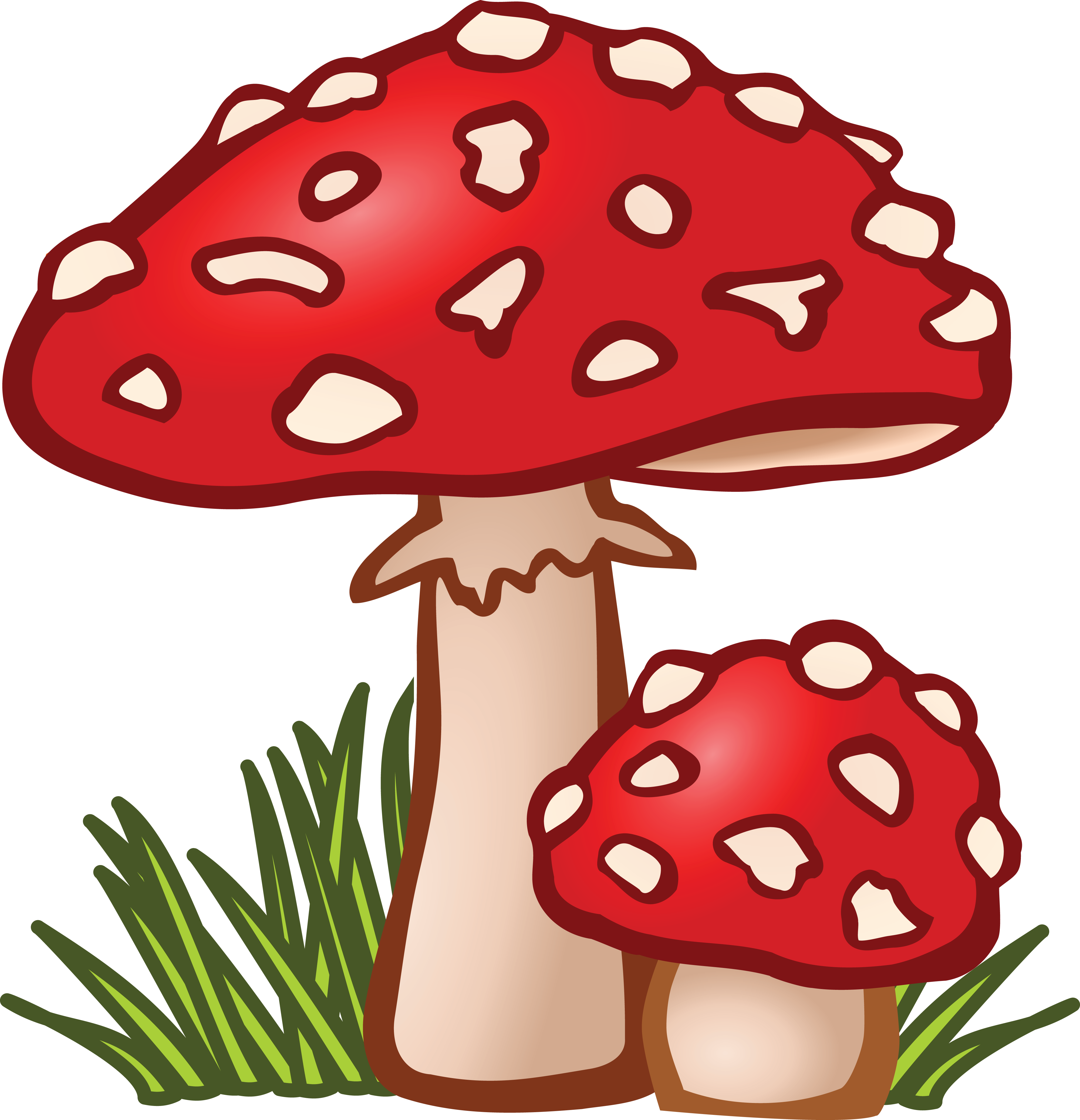 Free Clipart Of Mushrooms - Free Clipart Of Mushrooms (4000x4147)