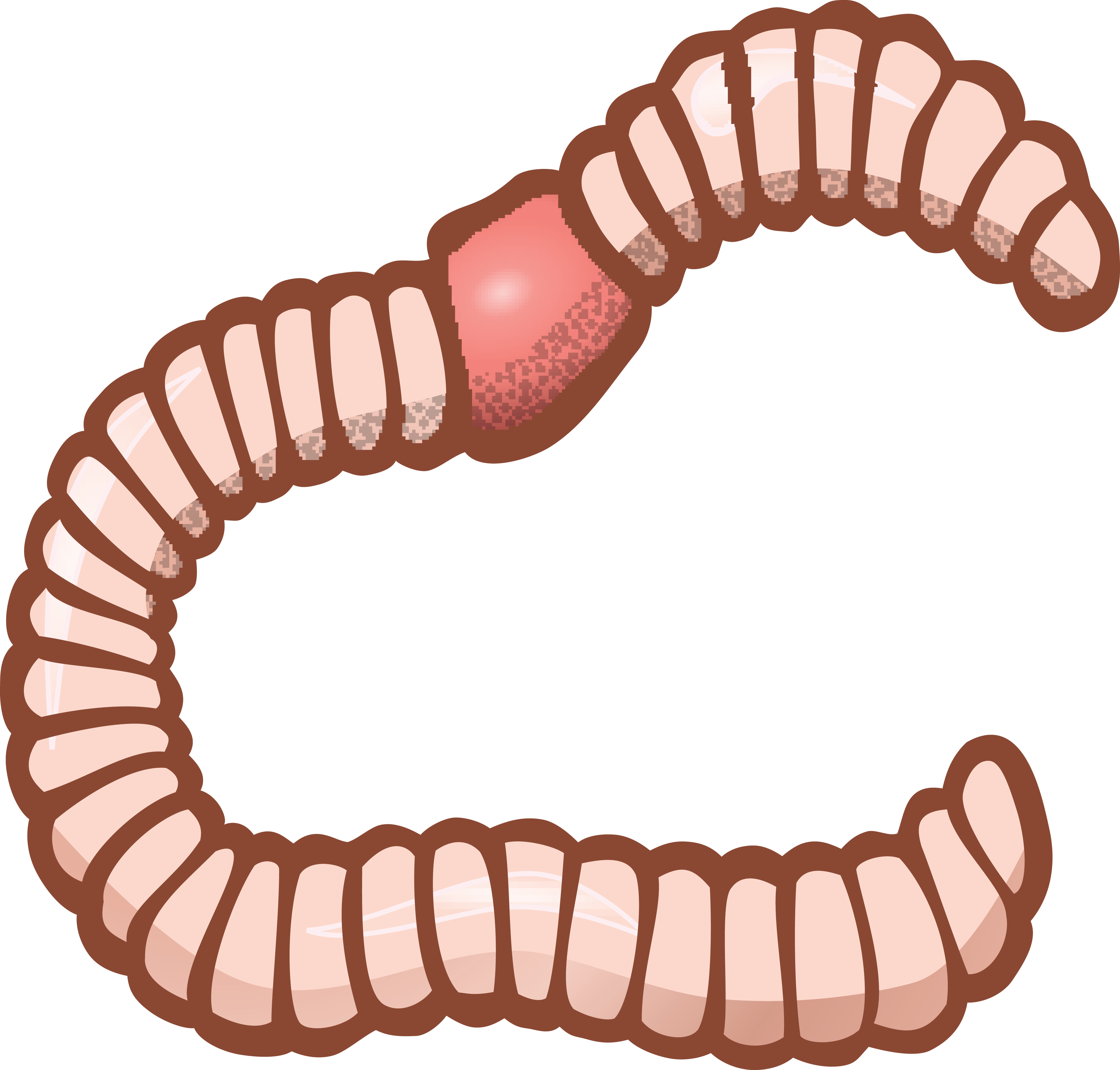 Free Clipart Of An Earthworm - Worm Clipart (4000x3824)