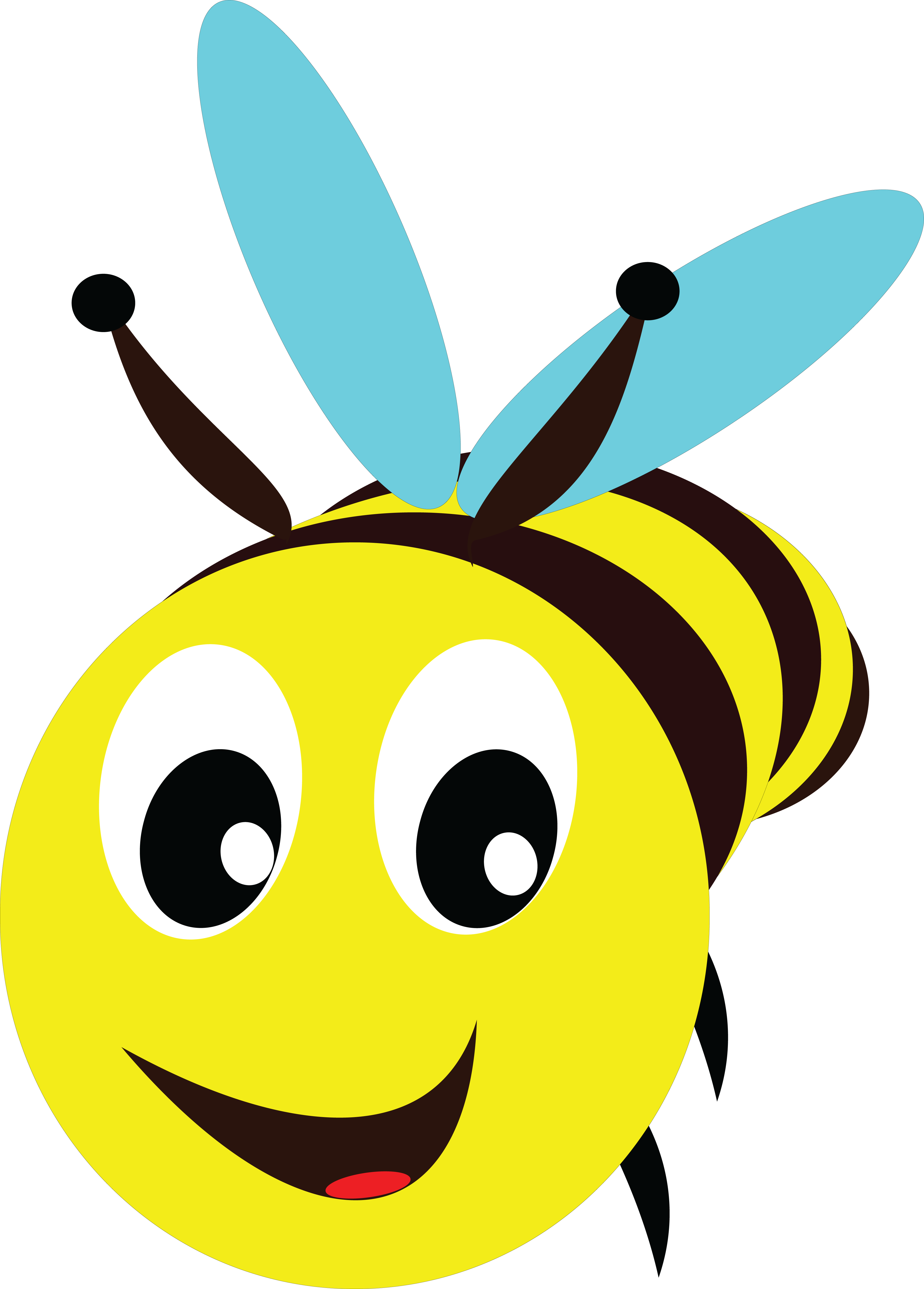 Free Clipart Of A Bee - Bee Head Clipart (4000x5578)