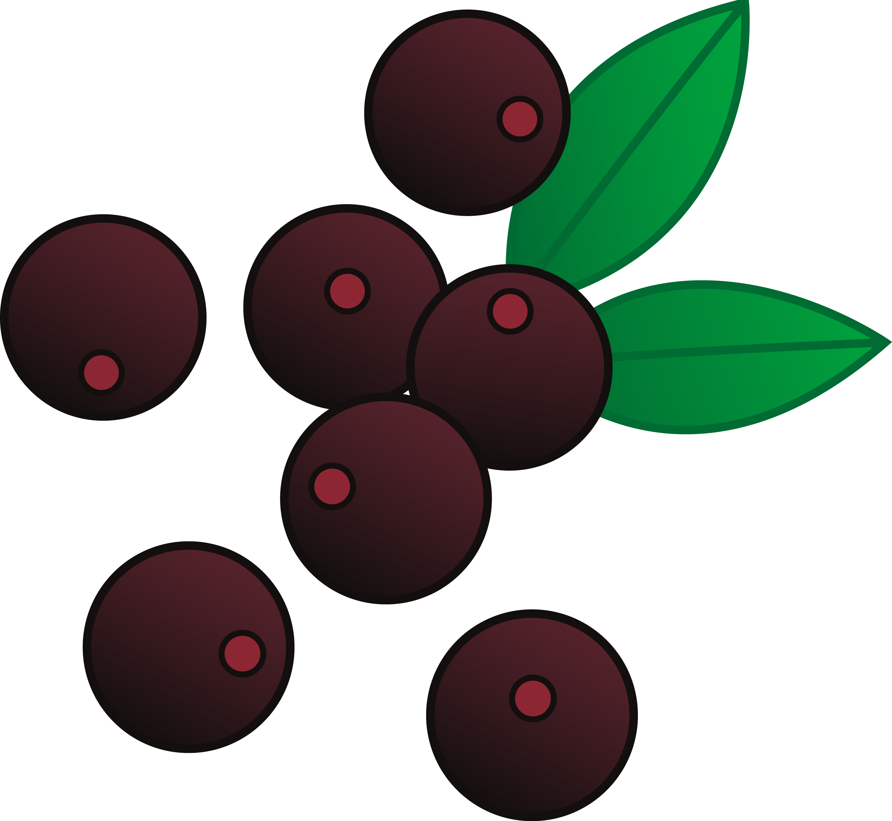 Acai Berries Vector Illustration - Berries Clipart (3075x2831)