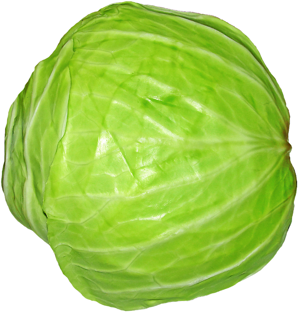 Red Onion Png Clip Art Image Gallery Yopriceville High - Png Images Of Cabbage (1179x1134)