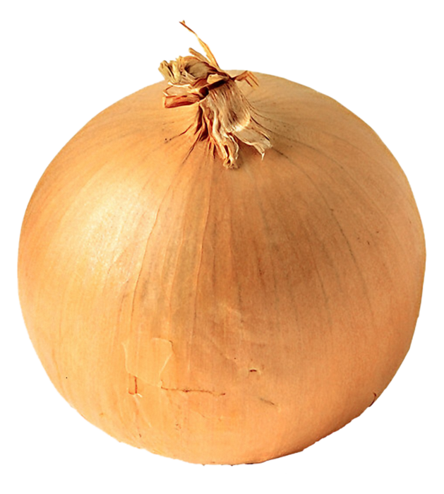 Onion Png Image, Free Download Picture - White Onion (629x699)