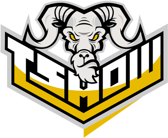 Team Rating - T Show Dota 2 (600x496)