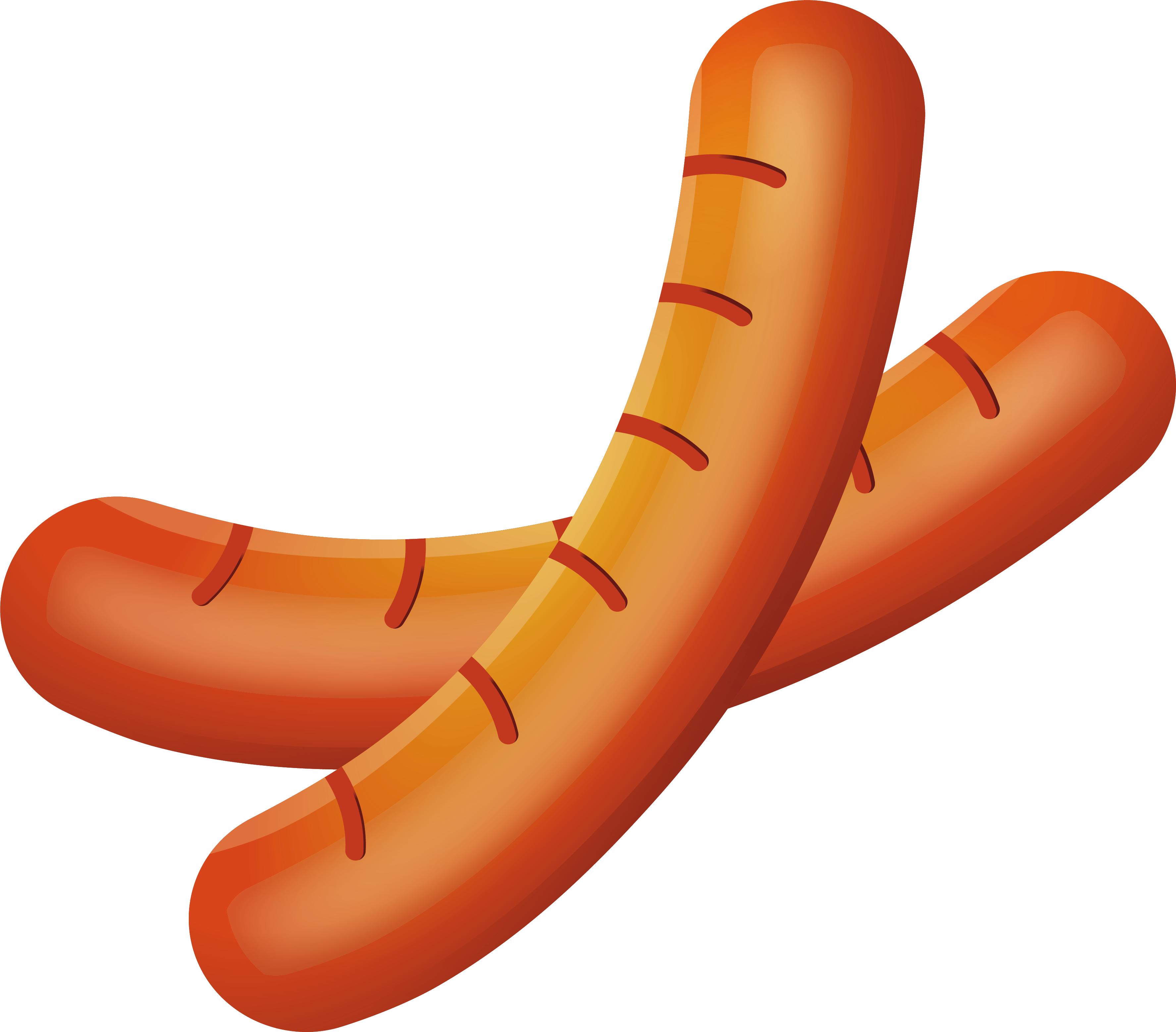 Chinese Sausage Hot Dog Bratwurst Frankfurter Wxfcrstchen - Chorizo Vector Png (3551x3116)