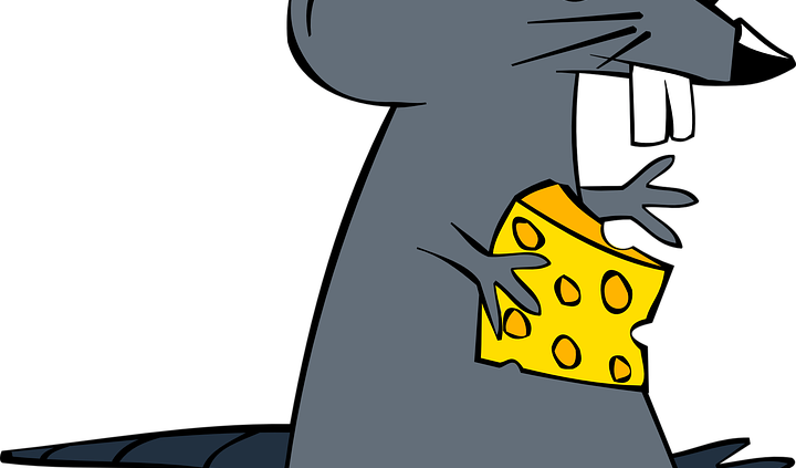 Mouse Rodent Cheese Rat Mammal Animal Cartoon 152162 - Cartoon-maus Mit Käse Karte (720x423)