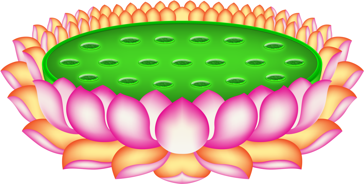 Png A Di Da Phat Quan The Am Guanyin Buddha 145 By - Hoa Sen Phật Vector (1249x640)