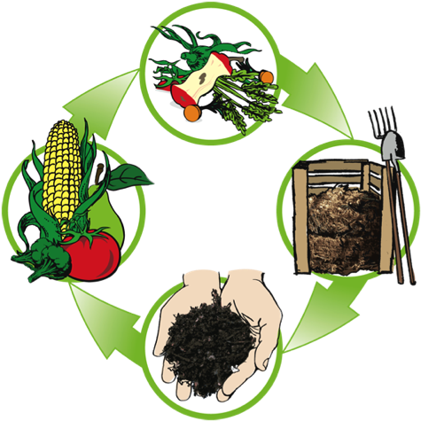 Through Combining Some Of The Organic Waste You Produce - Cycle Du Compost (486x486)