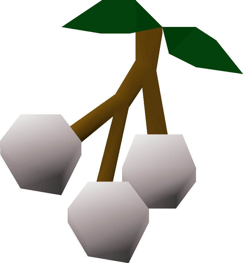 White Berries Detail - Grapes Osrs (848x918)