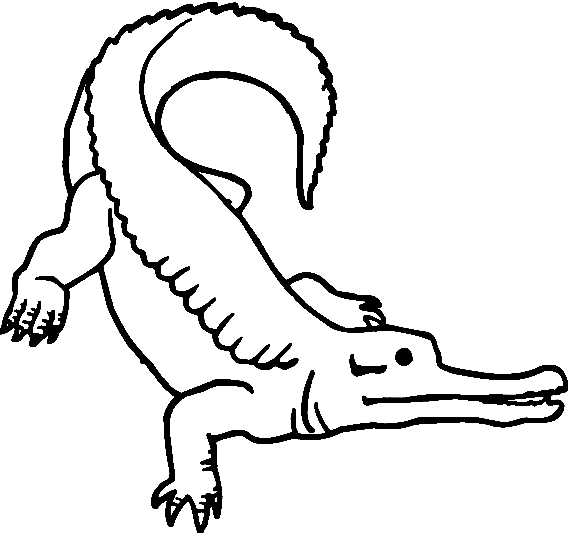 Surungen-6 - Outline Of A Crocodile (570x533)