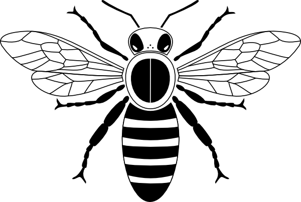Honeycomb Clip Art - Honey Bee Black And White (800x538)