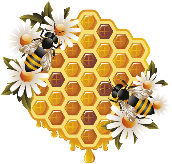 Honey Bee Original Watercolor Painting Yellow Brown - Bee With Honeycomb Clip Art - (600X600) Png Clipart Download