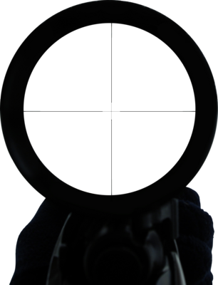 Snipers Clipart Transparent - Sniper Pov Png (306x400)