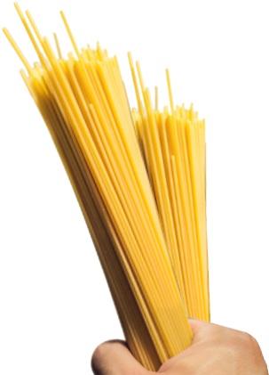 Pasta Spaghetti - Pasta (511x451)