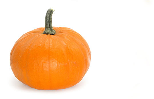 Pumpkin (630x347)