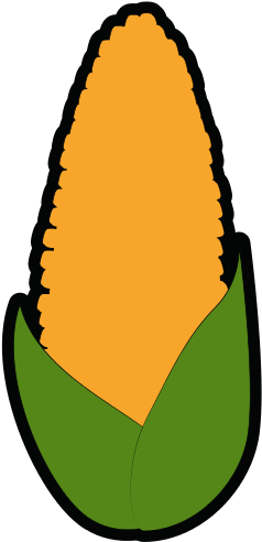 Cute Corn - Maize (550x550)