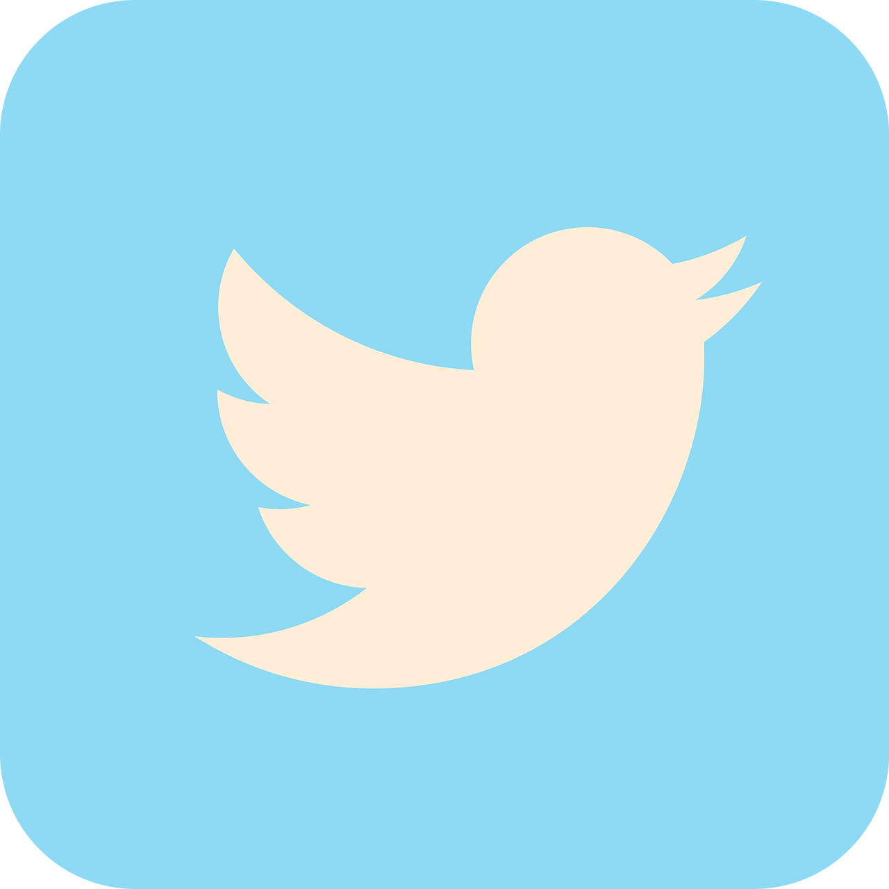 Vanderburg Preventing Identity Theft On Twitter - Social Media Icons Twitter (1280x1280)