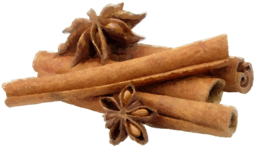 Cinnamon And Star Anise By Jeanicebartzen27 - Star Anise And Cinnamon (1024x597)