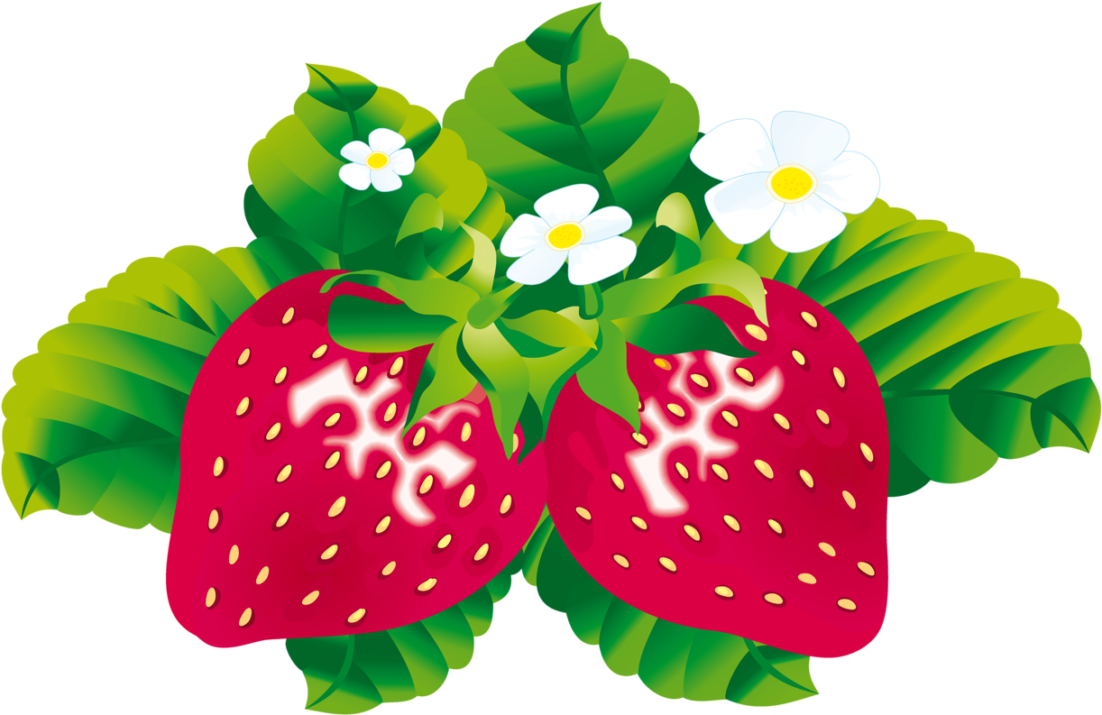 Strawberries - Strawberry Flower Cartoon (1280x852)
