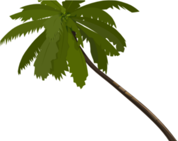 Palm Tree Clipart Royalty Free - Animated Tree Png (640x480)