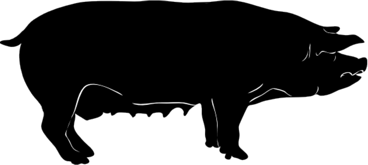 Warman Veterinary Services In Saskatoon, Sk - Warman Veterinary Services (755x340)