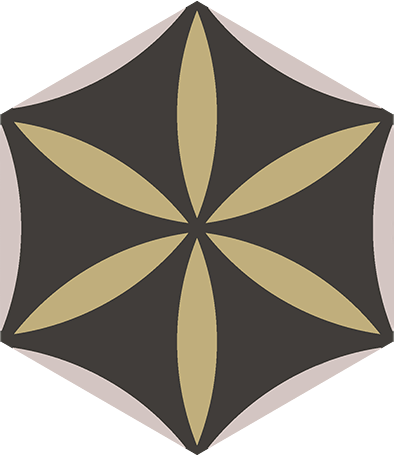 Star Anise - Fractal Design Meshify C Group (394x456)