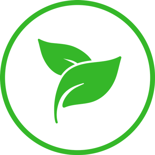 Scalable Vector Graphics (500x500)