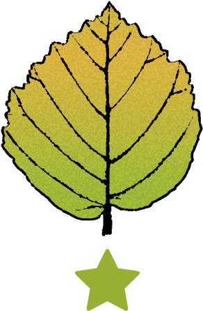 Witch Hazel Emporium - Tarot (300x460)