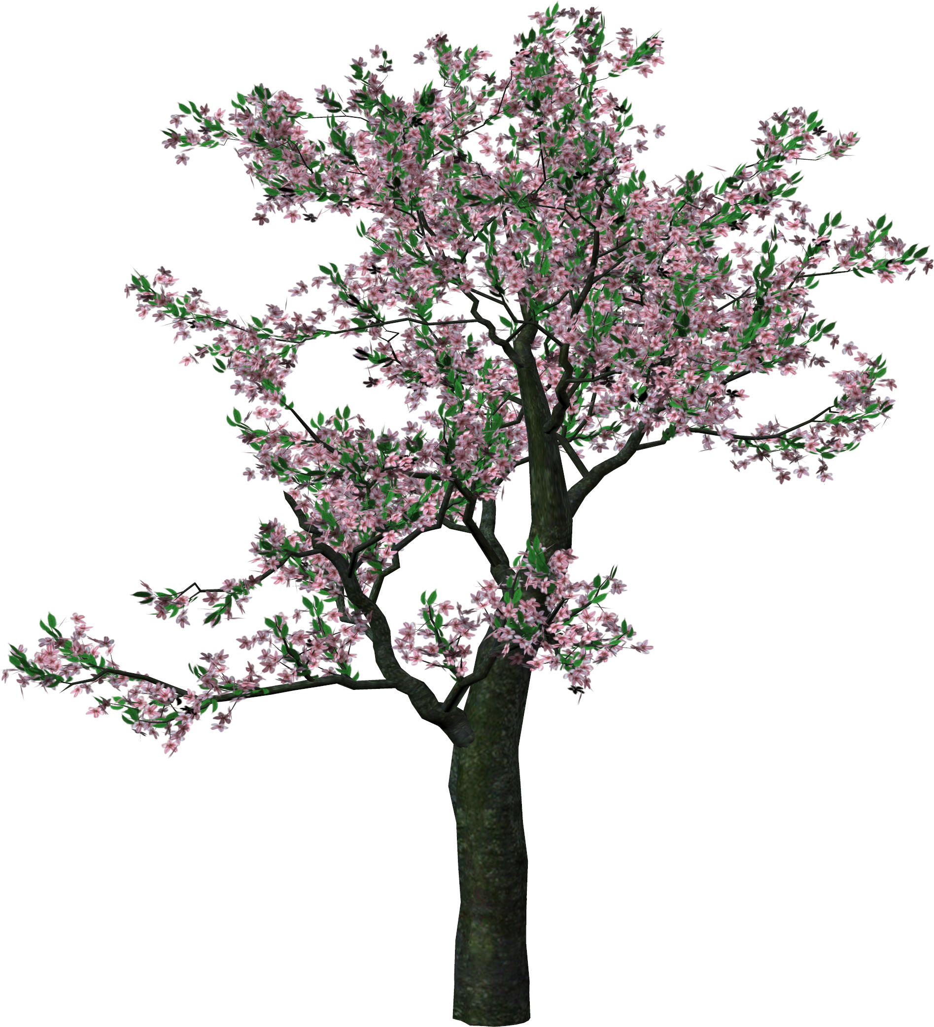 Showing Post & Media For Spring Tree Clip Art Cartoons - Spring Trees Png (1895x2084)