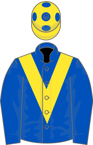 Champion Stakes - Poet's Word - Yellow (300x468)